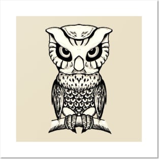 Owl Posters and Art